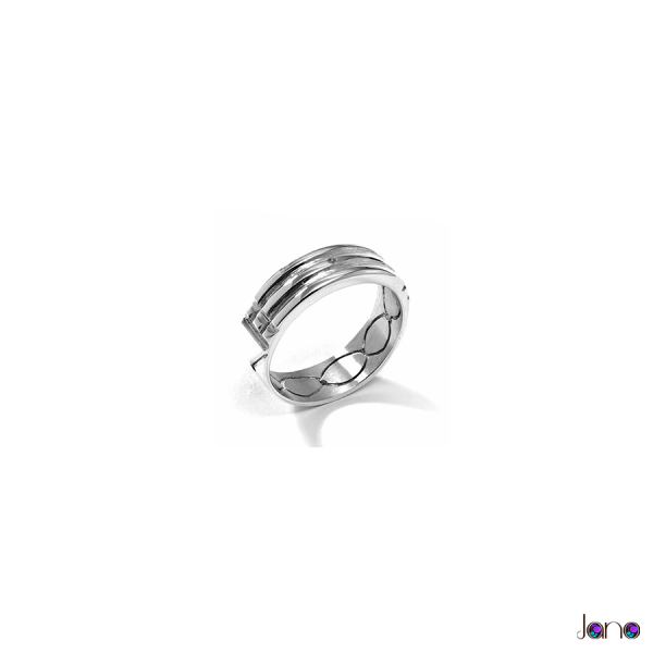 Anillo Atlante Clásico 6 mm Plata 925